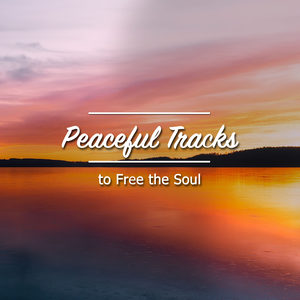 #12 Peaceful Tracks to Free the Soul