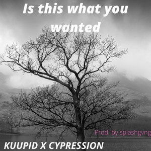 Is This What You Wanted (feat. Cypression)