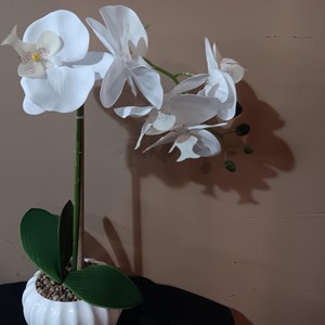 Dios Dame un Minuto Con Mi Padre