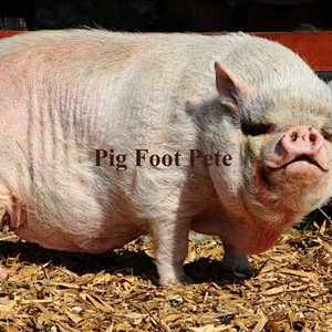 Pig Foot Pete