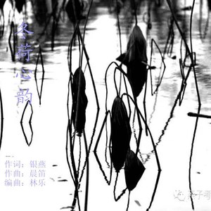 冬荷心韵