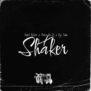 Shaker (Vocal Mix)