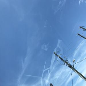 Exotic Opp Pack (Explicit)