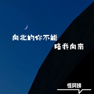 向北的你不能陪我向南 (DJ版)封面