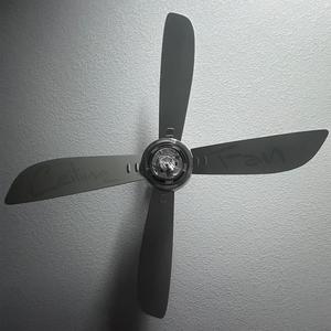 Ceiling Fan (Explicit)