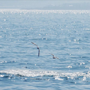 最后一页 (DJ版)