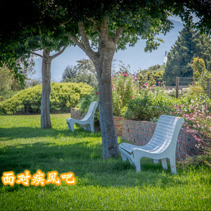 男人如虎 (DJ版)