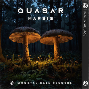 Quasar