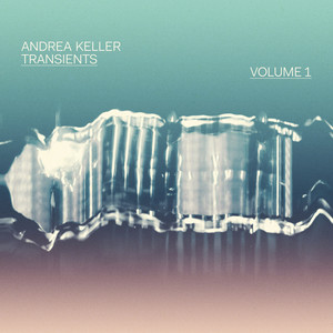 Transients, Vol. 1