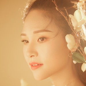 鸽子飞翔的地方