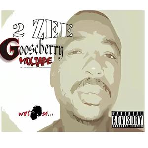 GooseBerry Mixtape (2Zee) [Explicit]