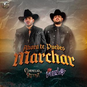Ahora Te Puedes Marchar (feat. 5to Vuelo)