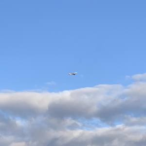 如果是来见你 我会用跑的