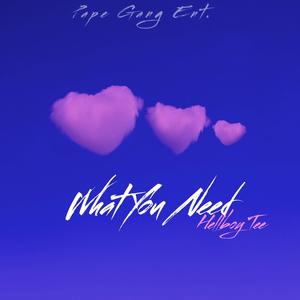 What You Need (Explicit)