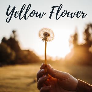 Yellow Flower