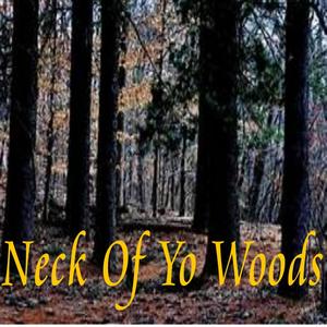 Neck Of Yo Woods (Explicit)