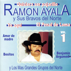 Ramón Ayala y Sus Bravos del Norte, Vol. 1: Quisiera Ser Pajarillo