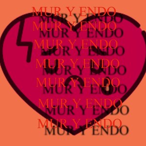 Mur Y Endo