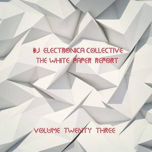 DJ Electronica Collective: The White Paper Report, Vol. 23