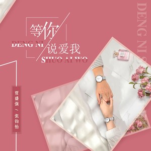 等你说爱我