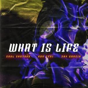 What Is Life (feat. Soul Santoro & Jay Garcia) [Explicit]