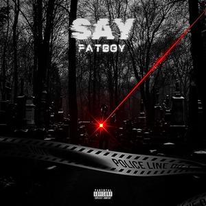 SAY FATBOY (Explicit)