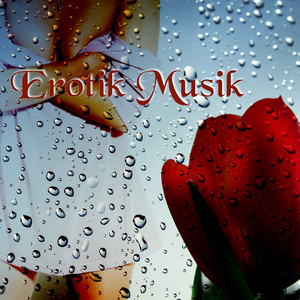 Erotik Musik – Romantisch Hintegrundmusik, Ihre Hochzeitsmusik, Sexy Musik, Romantisches Abendessen, Sexy Music, Musik für Liebhaber, Klaviermusik