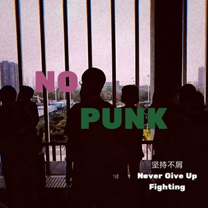 NO PUNK