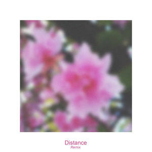 Distance (Remix)