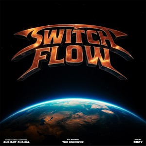 Switch Flow
