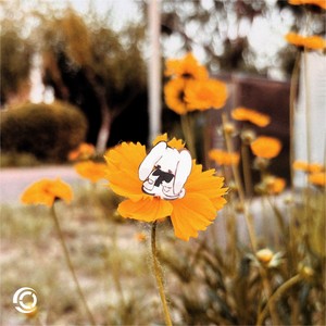 九月与爱德华 (伴奏)