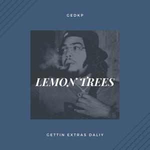 Lemon Trees (Explicit)