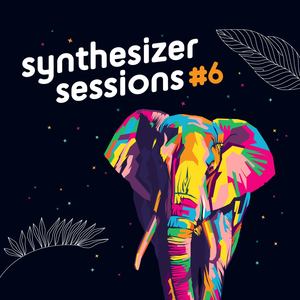 NimNim (Synthesizer Sessions)