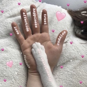全都给你 (feat.拉肥仔)