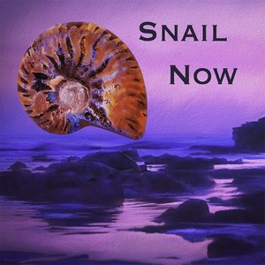 Snail Now