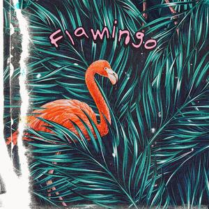 Flamingo (Explicit)