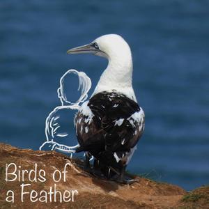 Birds of a feather (feat. Bec Hollcraft & Dave McKeown)