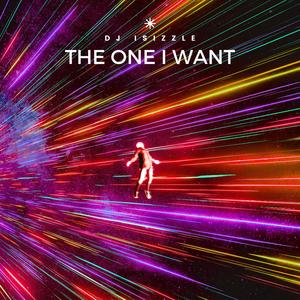 The One I Want (feat. Ethan Michaels) (Remix)