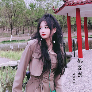 桃花怨封面