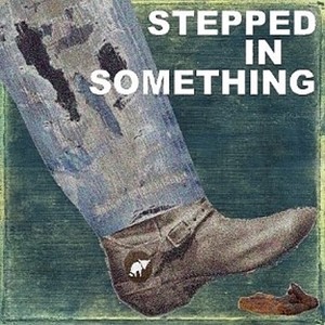 Stepped In Something (Explicit)