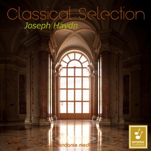 Keyboard Concerto No. 2 in D Major, Hob. XVIII:2 - III. Allegro