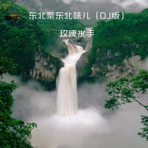 再也没有遇到她 (DJ版)