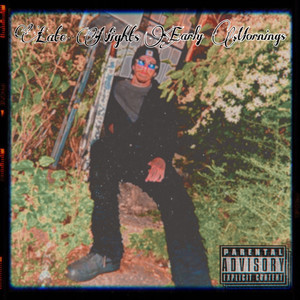 Late Nights and Early Mornings (Remix|Explicit)