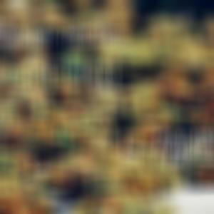 Li PawPaw(feat. Adetunji) (Explicit)