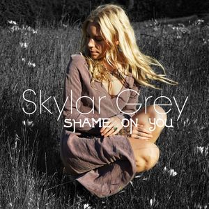Skylar Grey - Shame on You