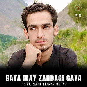 Gaya May Zandagi Gaya