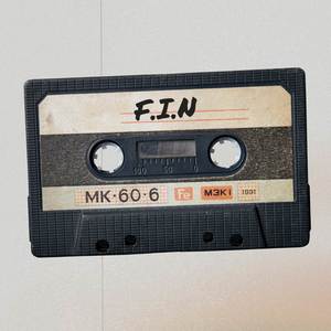F.I.N