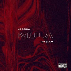 Mula (feat. S.A.M) [Explicit]