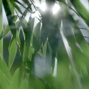 雨下一整晚-古筝沁芸