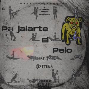 Pa jalarte el pelo (feat. Azteka)